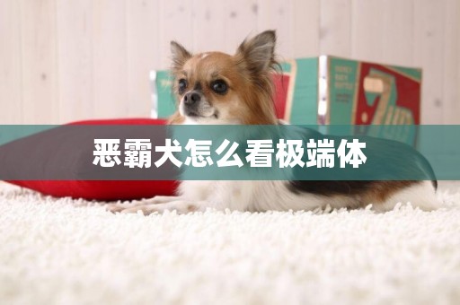 恶霸犬怎么看极端体